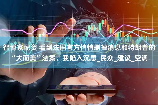 智博家配资 看到法国官方悄悄删掉消息和特朗普的“大而美”法案，我陷入沉思_民众_建议_空调
