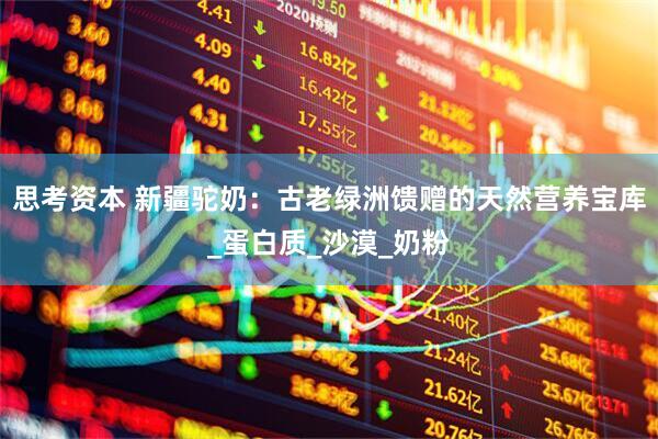 思考资本 新疆驼奶：古老绿洲馈赠的天然营养宝库_蛋白质_沙漠_奶粉