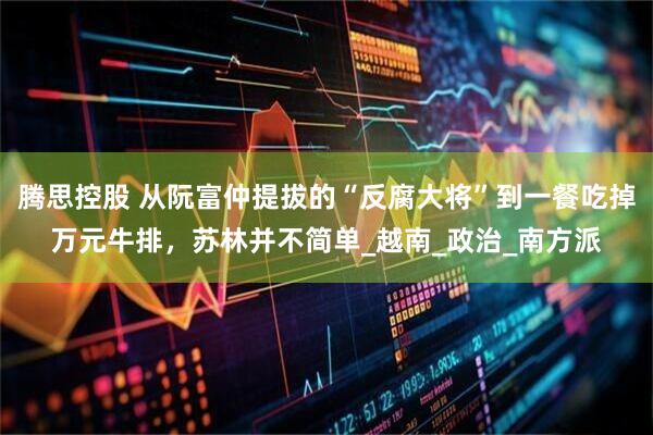 腾思控股 从阮富仲提拔的“反腐大将”到一餐吃掉万元牛排，苏林并不简单_越南_政治_南方派
